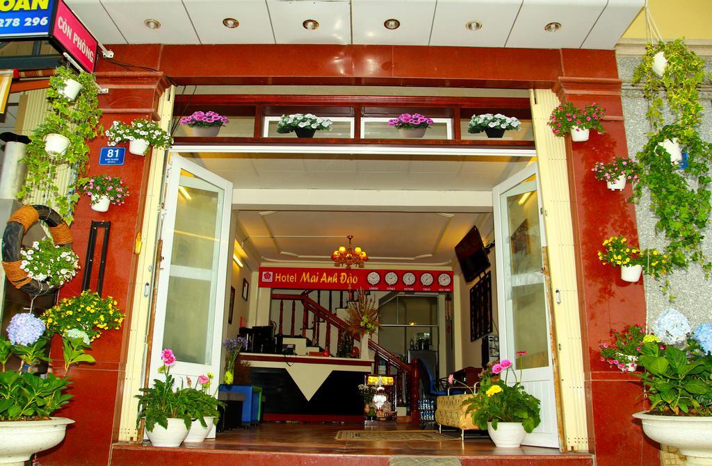 Mai Anh Dao Hotel Da Lat Værelse billede
