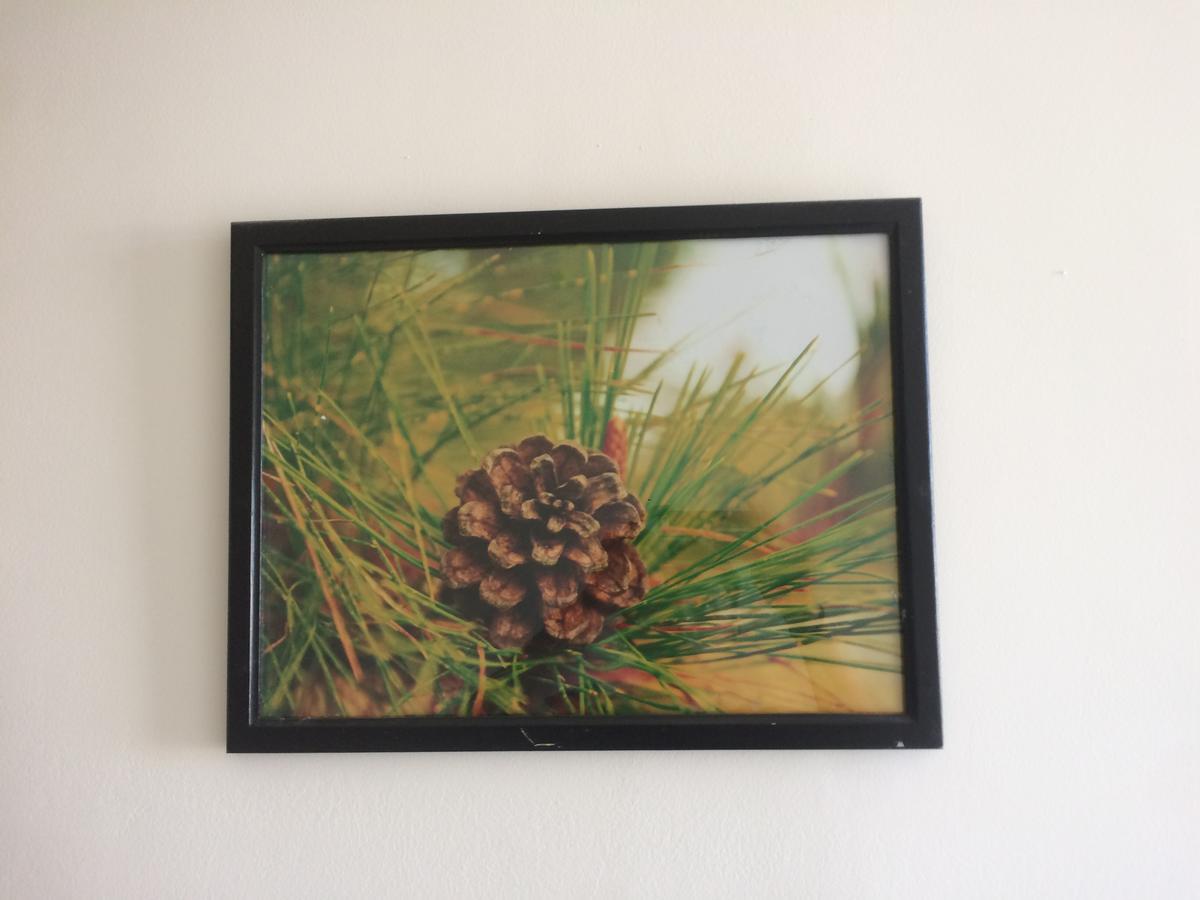 Mai Anh Dao Hotel Da Lat Eksteriør billede